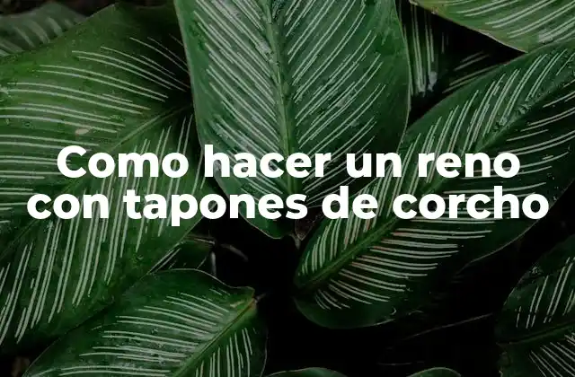 Como Hacer un Reno con Tapones de Corcho