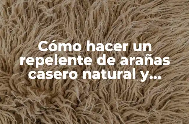 Cómo Hacer un Repelente de Arañas Casero Natural y Efectivo