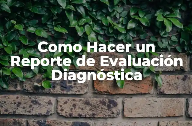 Como Hacer un Reporte de Evaluación Diagnóstica
