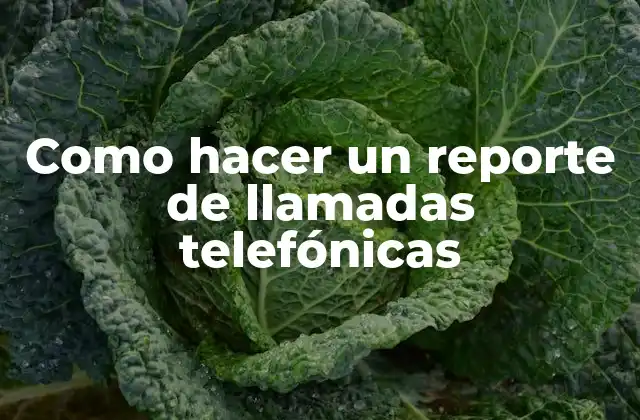 Como Hacer un Reporte de Llamadas Telefónicas