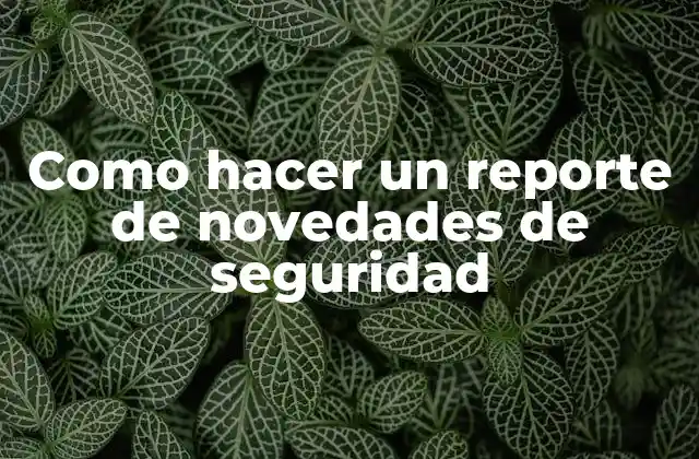 Como Hacer un Reporte de Novedades de Seguridad