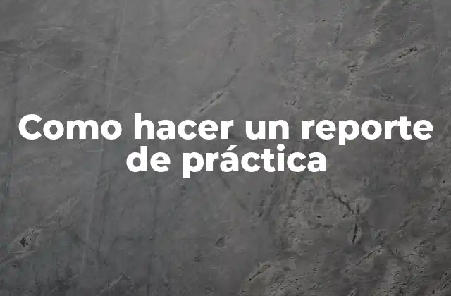Como Hacer un Reporte de Práctica