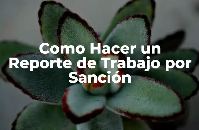 Como Hacer un Reporte de Trabajo por Sanción