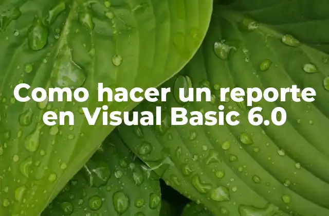 Crear un reporte en Visual Basic 6.0