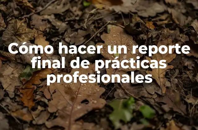 Cómo Hacer un Reporte Final de Prácticas Profesionales