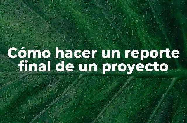 Cómo Hacer un Reporte Final de un Proyecto