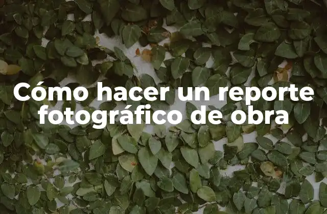 Cómo Hacer un Reporte Fotográfico de Obra 2 ¿Qué es un reporte fotográfico de obra?