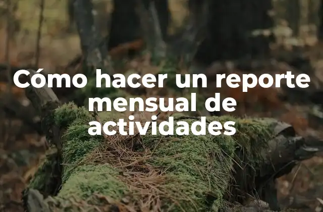 Cómo Hacer un Reporte Mensual de Actividades
