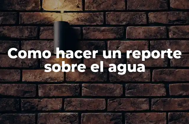 Como Hacer un Reporte sobre el Agua