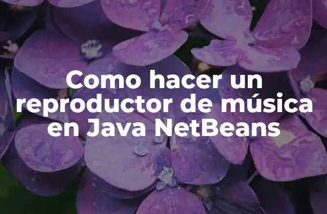 Como Hacer un Reproductor de Música en Java Netbeans 2 Reproductor de música en Java NetBeans