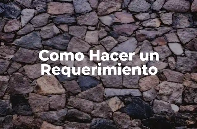 Como Hacer un Requerimiento