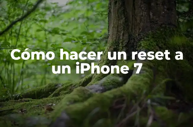 Cómo Hacer un Reset a un Iphone 7