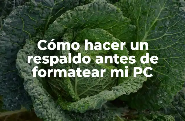Cómo Hacer un Respaldo Antes de Formatear Mi Pc