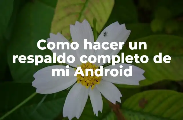 ¿Qué es un respaldo completo de Android y para qué sirve?