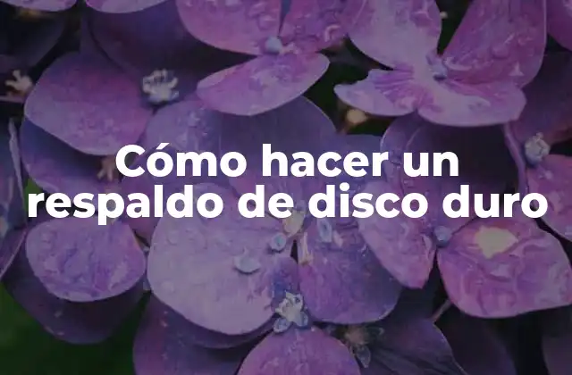 Cómo Hacer un Respaldo de Disco Duro