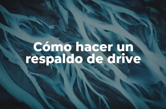 Cómo Hacer un Respaldo de Drive