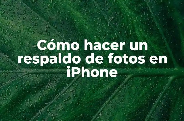 Cómo Hacer un Respaldo de Fotos en Iphone