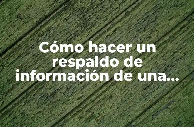 Cómo Hacer un Respaldo de Información de una Computadora