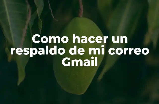 Como Hacer un Respaldo de Mi Correo Gmail