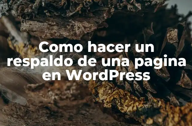 Como Hacer un Respaldo de una Pagina en WordPress