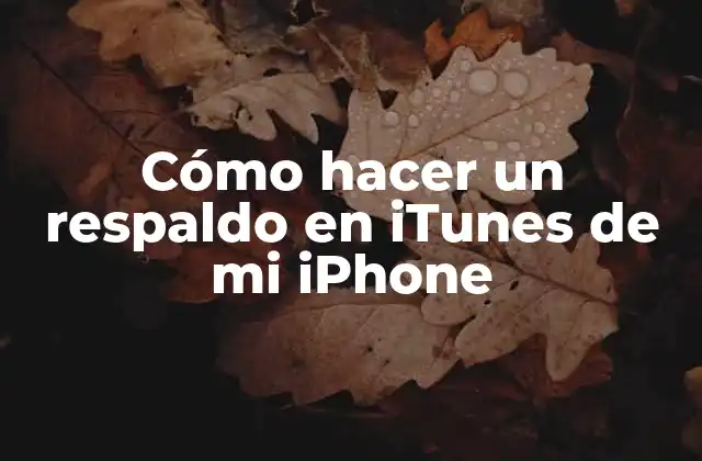 Cómo Hacer un Respaldo en Itunes de Mi Iphone