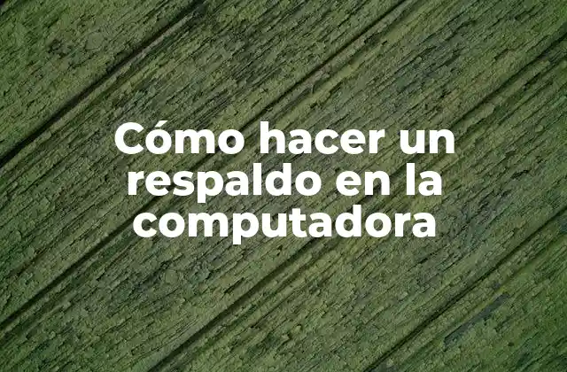Cómo Hacer un Respaldo en la Computadora