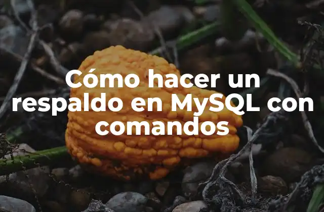 Cómo Hacer un Respaldo en Mysql con Comandos
