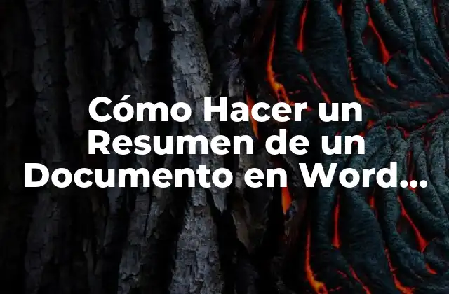 Cómo Hacer un Resumen de un Documento en Word 2013