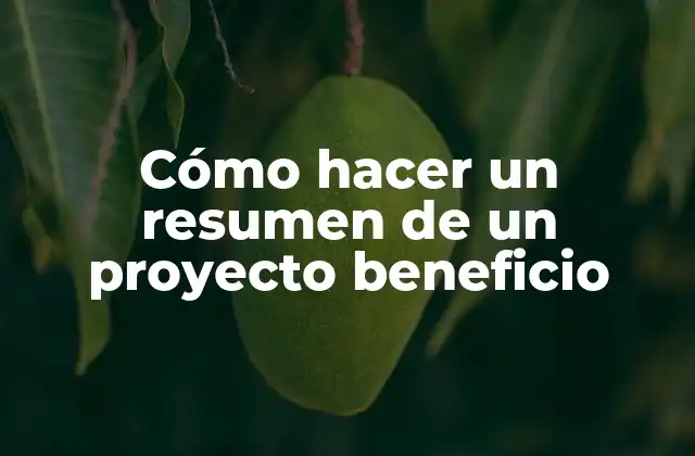 Cómo Hacer un Resumen de un Proyecto Beneficio