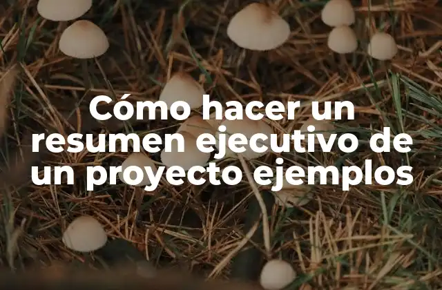 Cómo Hacer un Resumen Ejecutivo de un Proyecto Ejemplos