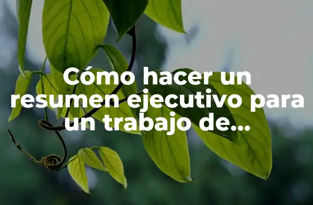 Cómo Hacer un Resumen Ejecutivo para un Trabajo de Investigación