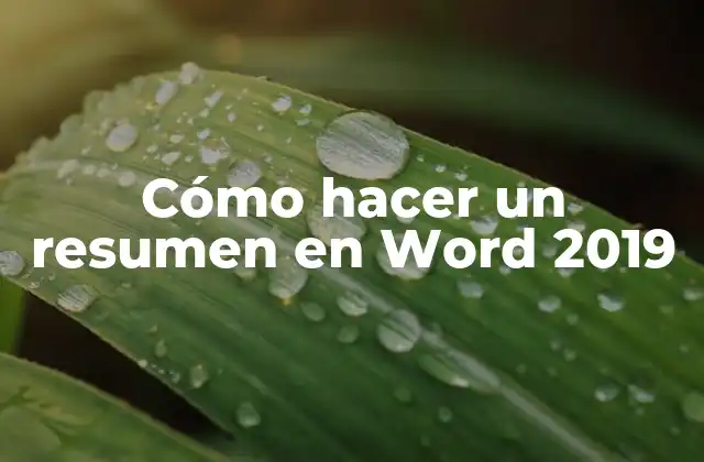 Cómo Hacer un Resumen en Word 2019