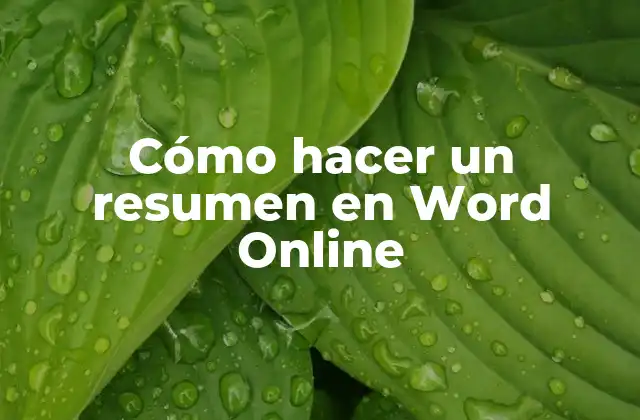 Cómo Hacer un Resumen en Word Online