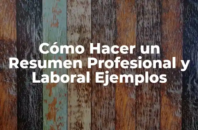 ¿Qué es un Resumen Profesional y Laboral?
