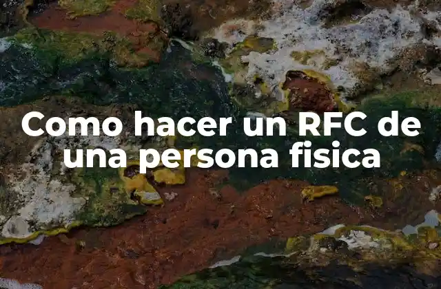 Como Hacer un Rfc de una Persona Fisica