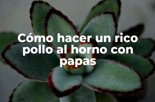 Cómo Hacer un Rico Pollo Al Horno con Papas