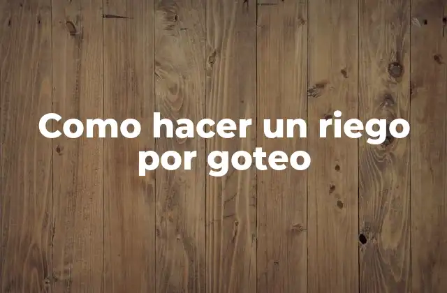 Como Hacer un Riego por Goteo