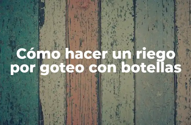 Cómo Hacer un Riego por Goteo con Botellas