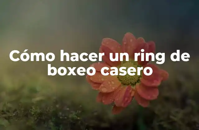 Cómo Hacer un Ring de Boxeo Casero