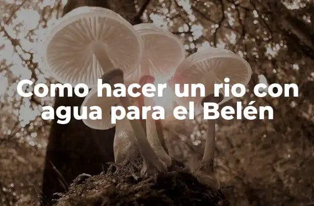 Como Hacer un Rio con Agua para el Belén