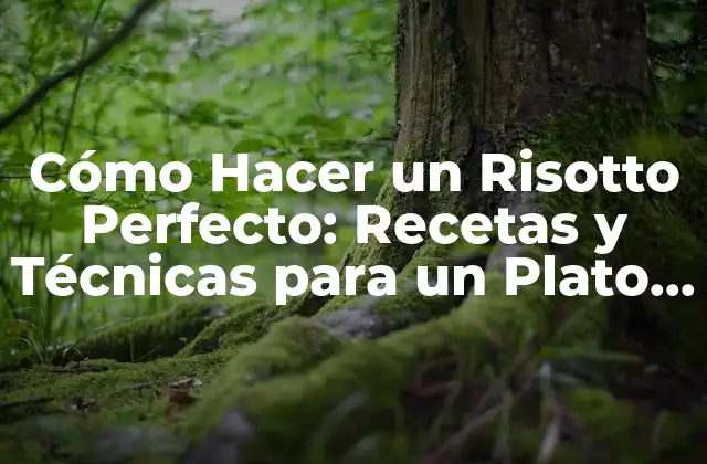 Cómo Hacer un Risotto Perfecto: Recetas y Técnicas para un Plato Italiano Auténtico