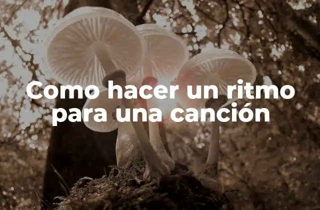 Como Hacer un Ritmo para una Canción