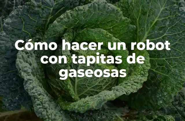 Cómo Hacer un Robot con Tapitas de Gaseosas