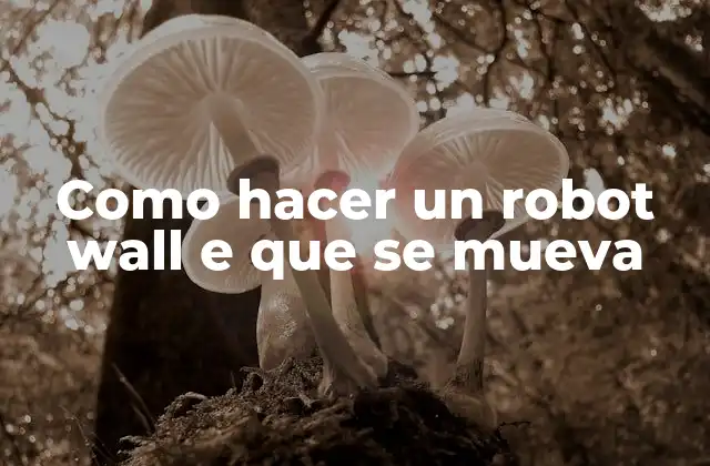Como Hacer un Robot Wall e que Se Mueva