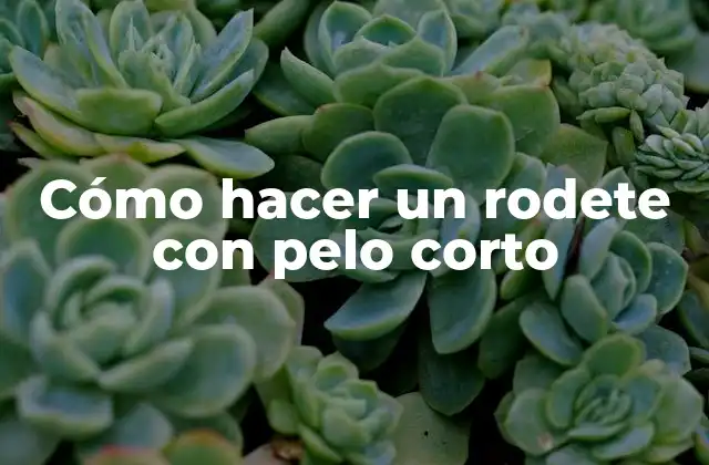 Cómo Hacer un Rodete con Pelo Corto