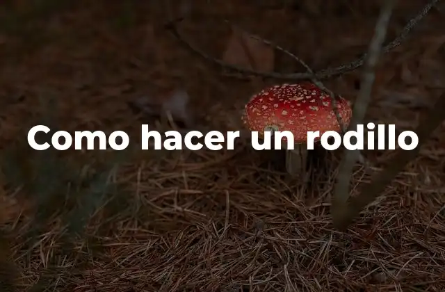 Como Hacer un Rodillo