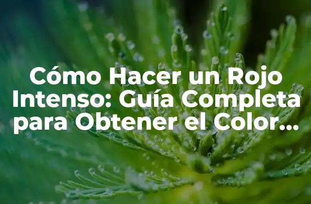 Cómo Hacer un Rojo Intenso: Guía Completa para Obtener el Color Perfecto