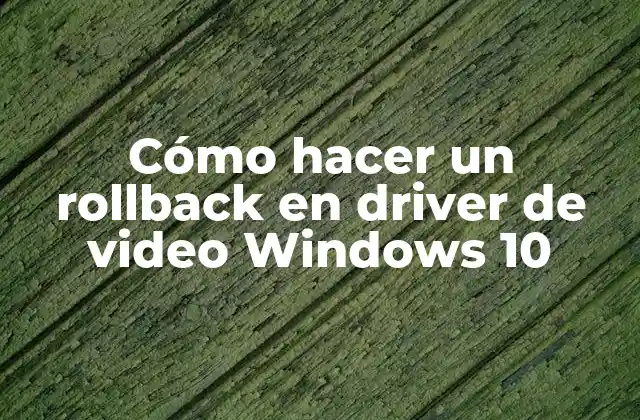 Cómo Hacer un Rollback en Driver de Video Windows 10