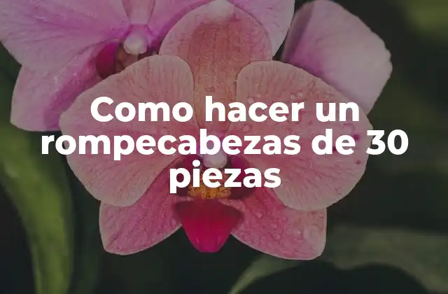Como Hacer un Rompecabezas de 30 Piezas