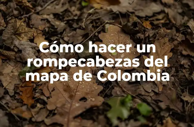 Cómo Hacer un Rompecabezas Del Mapa de Colombia